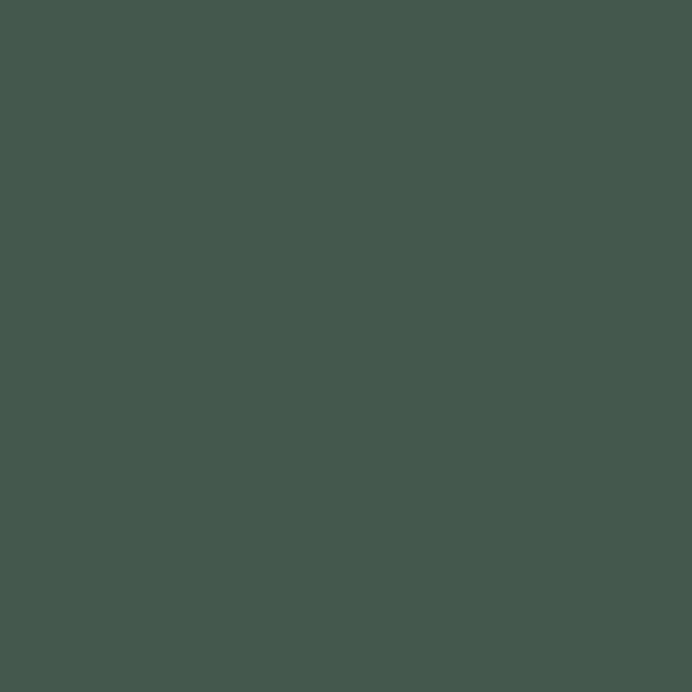 Billiard Green- 2024 Trend Color