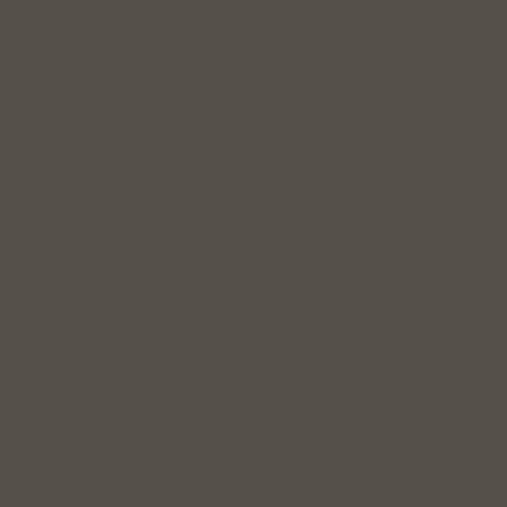 Urbane Bronze- 2024 Trend Color